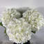 Arrangement floral d'hortensia