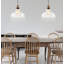 Luminaire suspendu pour dôme simple 1 lumières Carraway