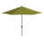 Ginkgo