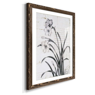 Argyle et fleurs, détail II - encadré, reproduction d'art sur papier
