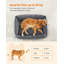 Polyester Pet Bed