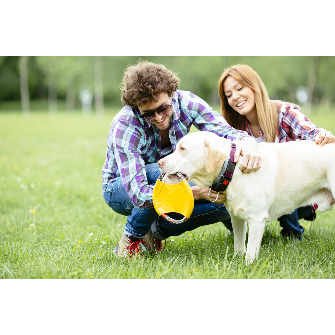 Fröhliches Paar wirft Frisbee zu ihrem Hund im Freien. by Vgajic - Print