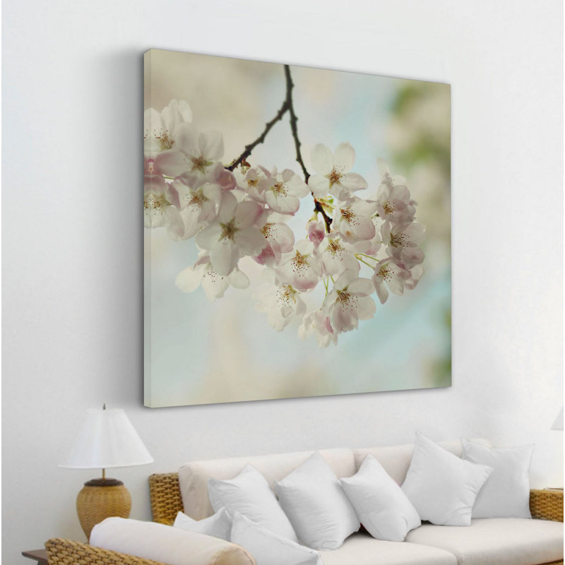 « spring light » par sylvia cook-reproduction de photo sur toile tendue, H 24 po x l 24 po x P 1,5 po