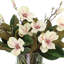 Magnolia Arrangement in Glass Vase