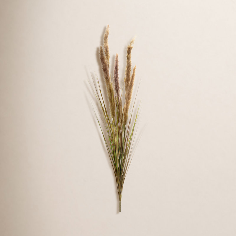 Foxtail Grass Bush
