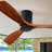 51.96'' Ceiling Fan