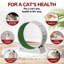 Tapis roulant pour chat, roue d'exercice verrouillable, jouet-579110203