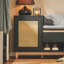 Alexzandar Polyester Upholstered Storage Bench-701473372