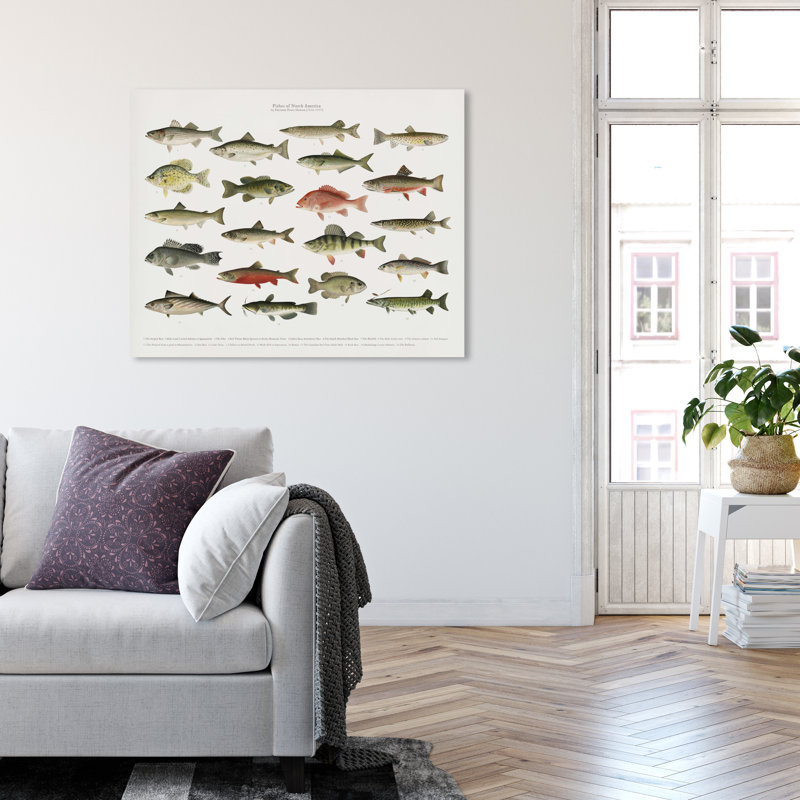 " American Fish " Painting Print, 24" H x 20" W, Wrapped Canvas