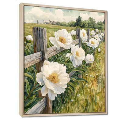 Hatchett, pivoines dans la clôture pastorale II - pivoines, art mural