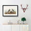 Ring Plover Birds by John Audubon - Picture Frame Painting Print-55598773-55598767