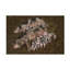 Art sur toile Gert Van Den Sœurs-901906666