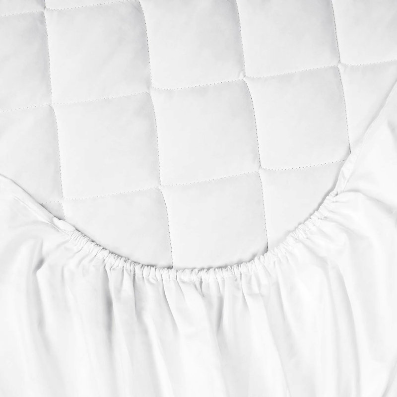 Fitted Mattress Protector Case Pack, Kingsize (5')