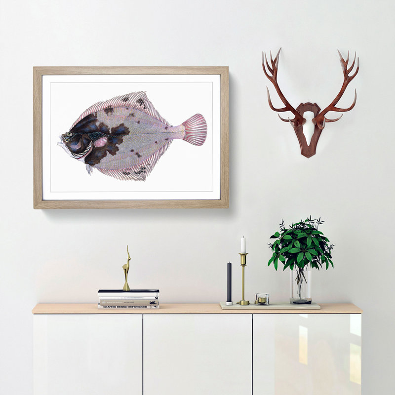 European Flouder Fish by Edward Donovan - Framed Print, 36cm H x 48cm W x 2cm D, Oak Framed