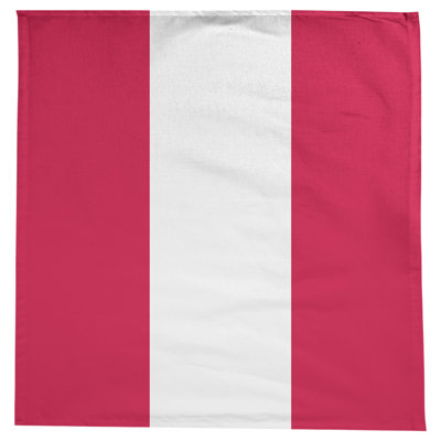Houston Basketball Tablecloth