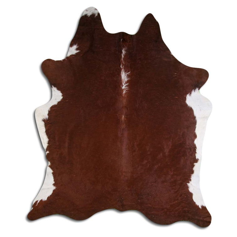 Foundry Select Teshawna Hand Knotted Cowhide Rug - Wayfair Canada