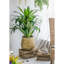 Ensemble de 3 jardinières en métal patiné, L: 12 x 12 x 14 po, M: 9 x 9 x 11,5 po, L: 6,3 x 6,3 x 8,7 po