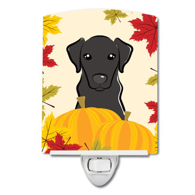 Shih Tzu Thanksgiving Ceramic Night Light