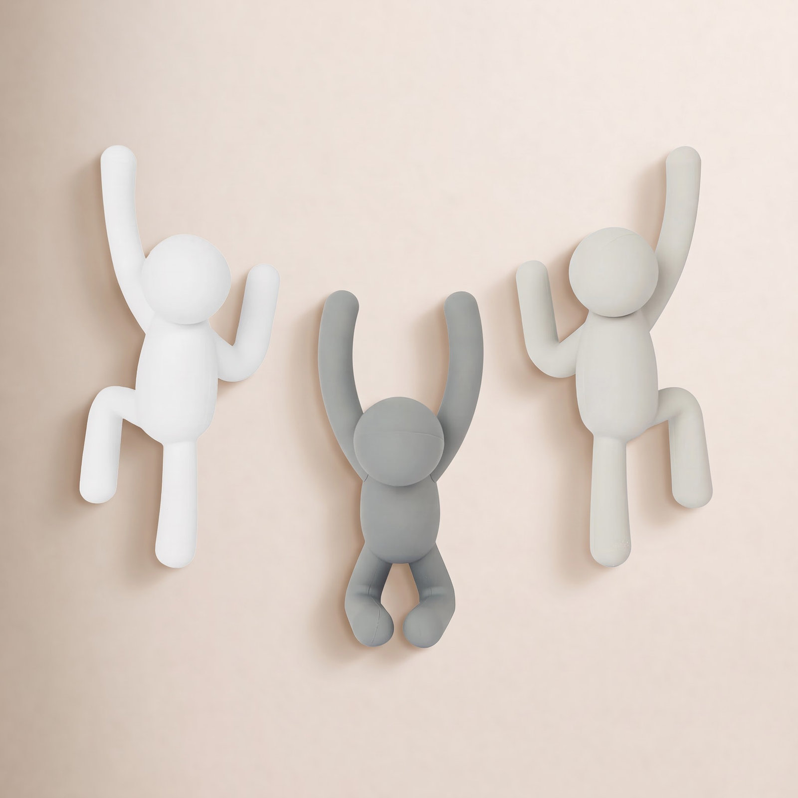 Wall-Mounted Coat Hooks, Assorted