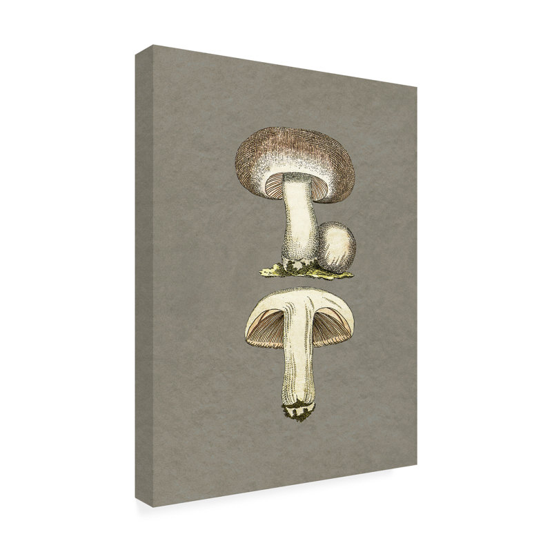 Art sur toile champignon de pictufy, H 47 po x l 35 po x P 2 po