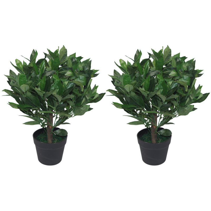Anastassios 50cm Faux Bay Laurel Tree in Pot