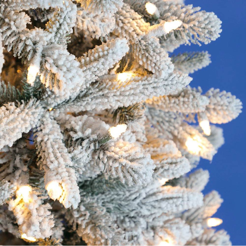 60' Lighted Spruce Christmas Tree