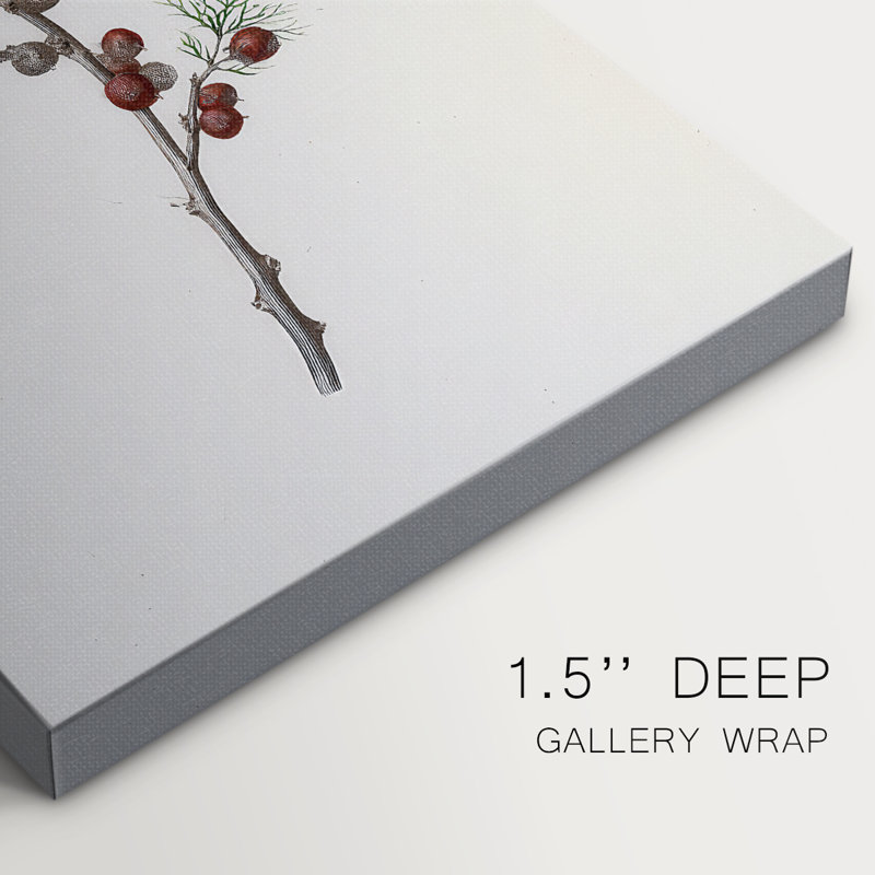 Pearled Lantern Serenade Gallery Wrapped Canvas, 18" H x 12" W