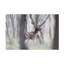«A Hunters View» par Sebastian Mastahac - reproduction de photo sur toile tendue-1234971563