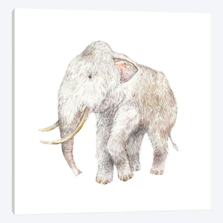 « lainely mammoth », impression sur toile tendue, H 37 po x l 37 po x P 1,5 po