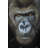 " Gorilla Face "