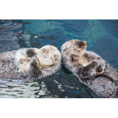 Couple of Wild Sea Otter by Lelepado