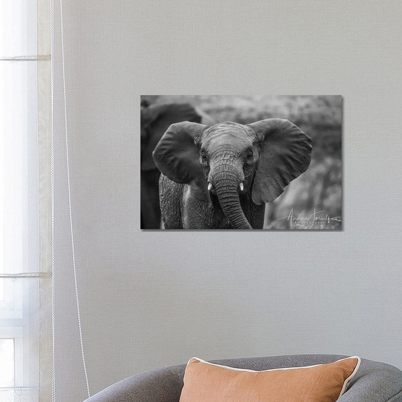 Baby Elephant by Anders Jorulf - Wrapped Canvas Print, 66.04 cm H x 45.72 cm W x 1.91 cm D