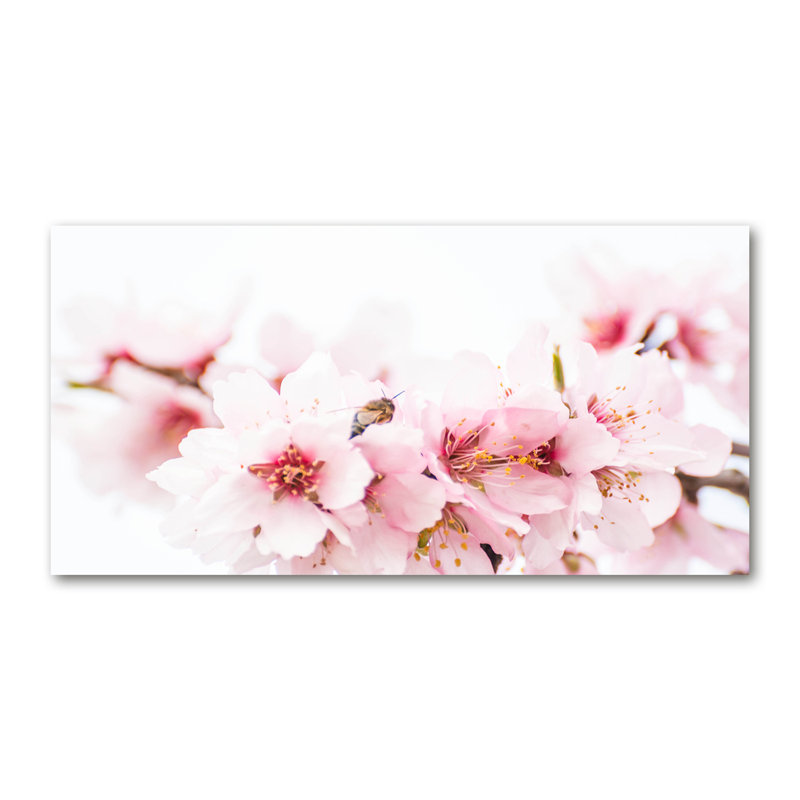 Cherry Blossoms - No Frame Print on Canvas