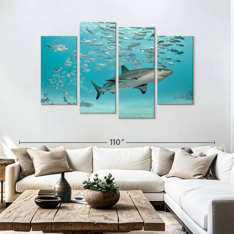 Brampt, poisson et requin des Caraïbes