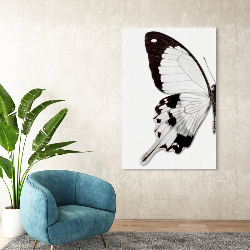 Papillon monochrome I - photographie sur toile, H 54 po x l 36 po
