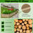 Wood Planter Box