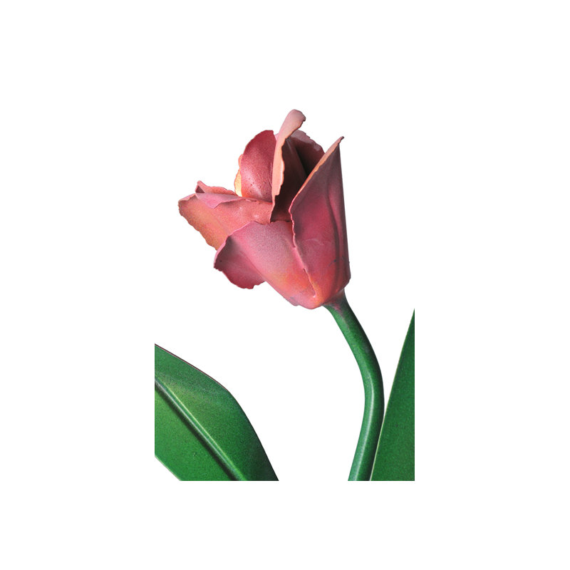 Tulip 1 - Light Wallchiere