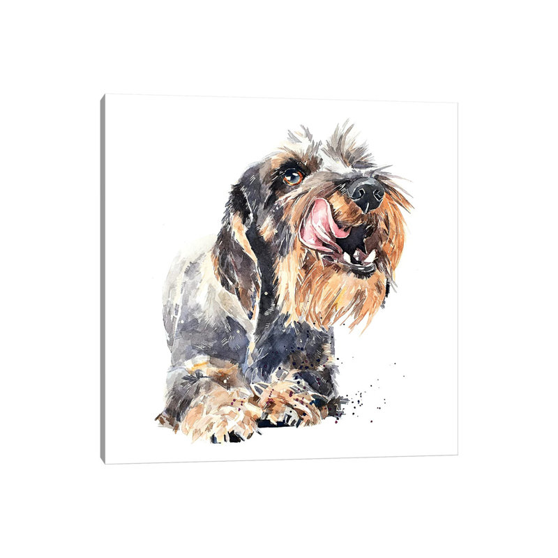 «Wirehaired Dachshund I» par EdsWatercolours - impression, Toile tendue, Pas de tapis, H 26 po x l 26 po x P 1,5 po