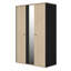 Laylah 2 Door Wardrobe