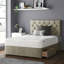 Eberhardt Upholstered UK Double - DE 135 X 190 Cm Divan Bed-95753166-95753167-95755189