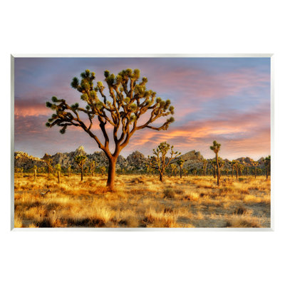 Ax-109-Wood " Savanna Trees Photography " by Dennis Frates