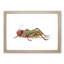 Granulated Locust by George Shaw - Framed Print-55620904-55620905
