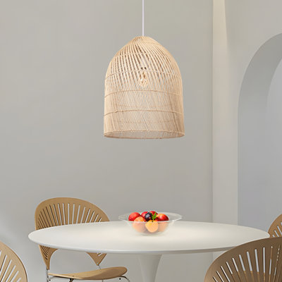 Luminaire suspendu 1 lumière Daney