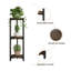 Plant Stand