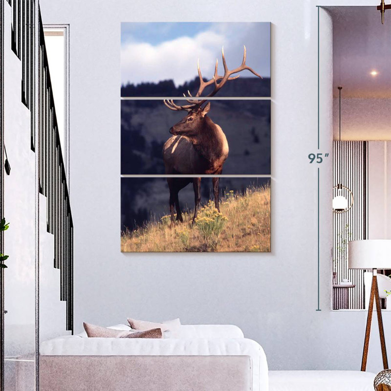 Wapiti de Brampt dans le Montana, H 32 po x l 20 po