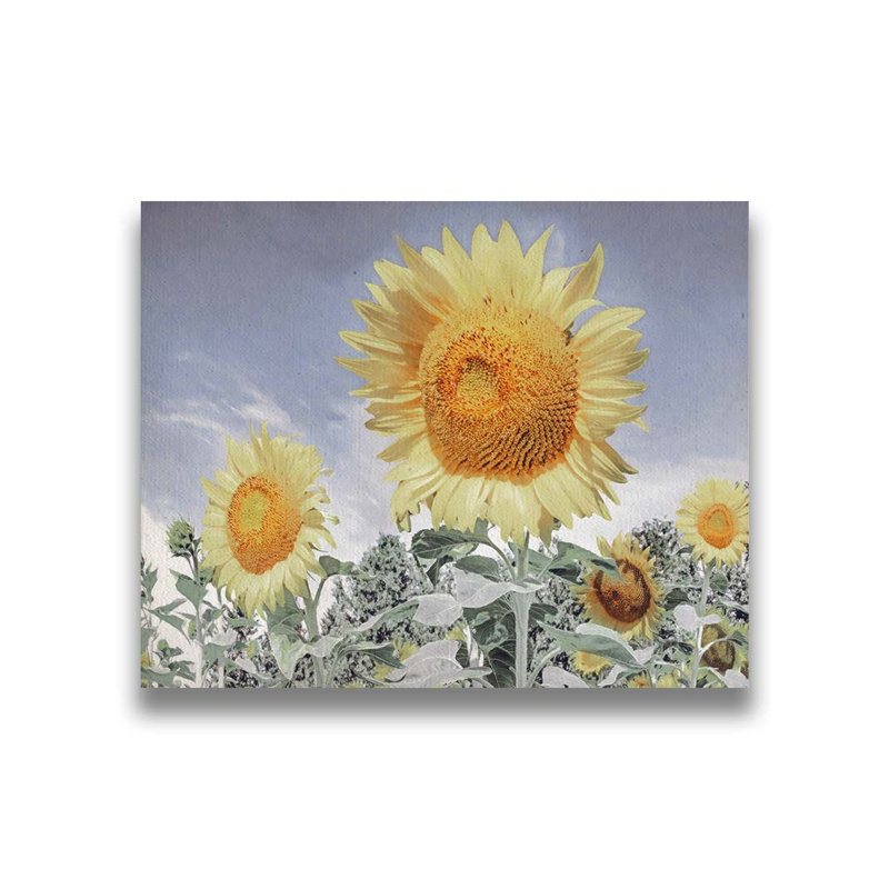 «Sunflowers In A Silver Sky» par Hal Halli sur toile, Sans cadre en plastique / acrylique, Non, H 8 po x l 10 po