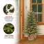 The Holiday Aisle® Nordic Spruce Tree with Clear Lights-1808368497
