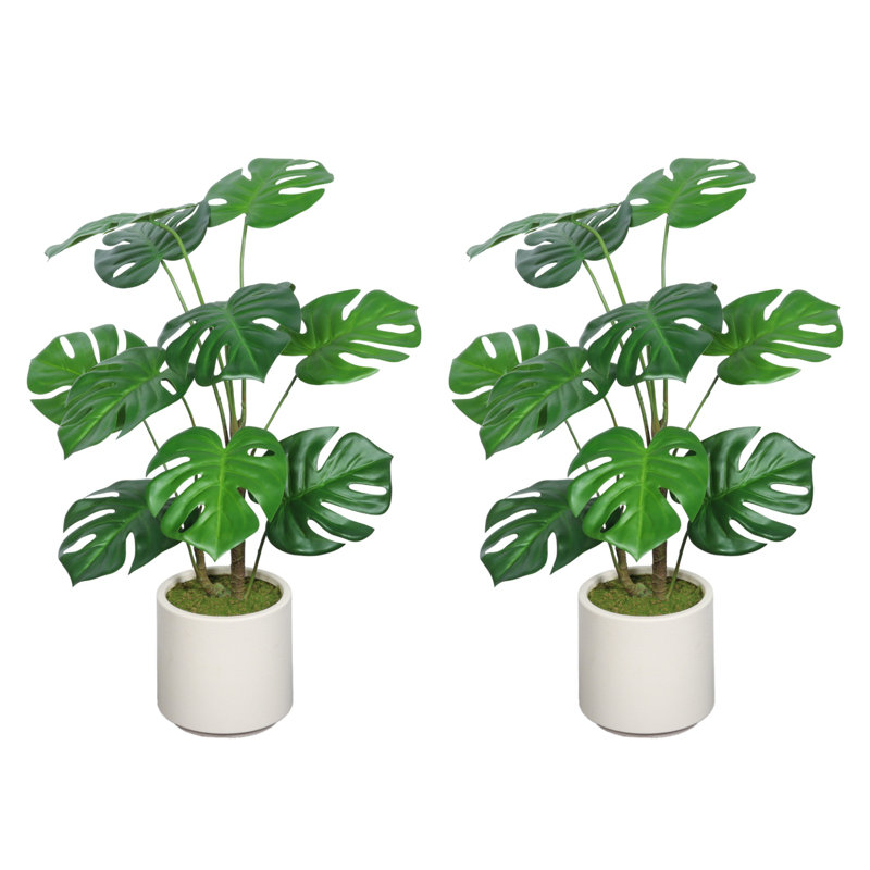 Plante artificielle 30 po avec pot blanc Monstera (ensemble de 2)