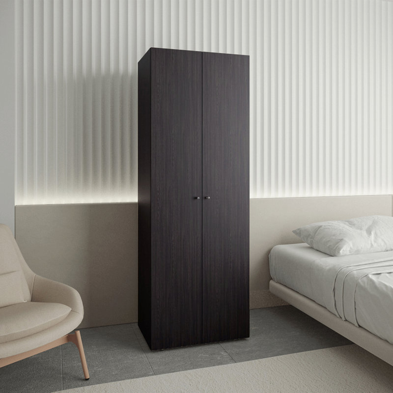 Armoire 2 portes avec système de garde-robe, tringle à suspendre et tablette de rangement, armoire moderne pour l'organisation de la chambre à coucher