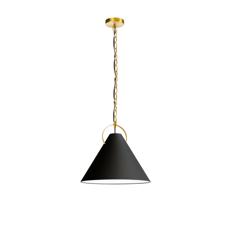 Luminaire suspendu incandescent 1 lumière Princeton, Noir, Laiton vieilli